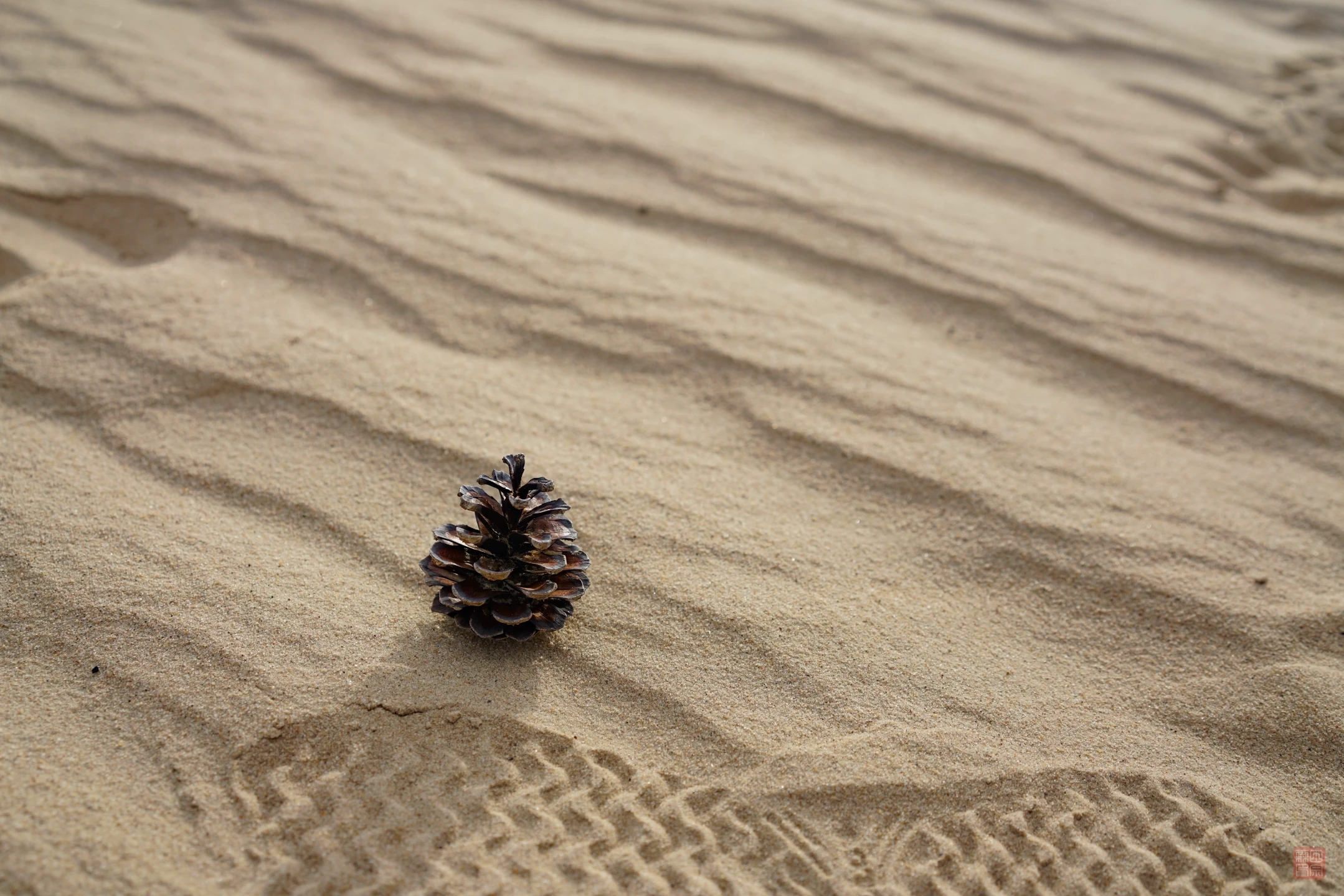 De Hoge Veluwe